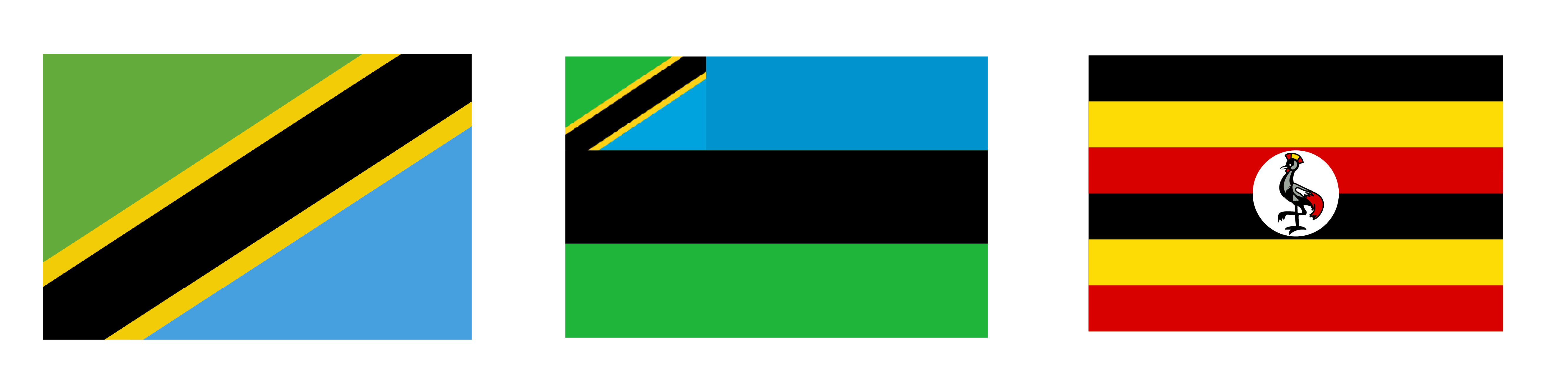 DRC Flag